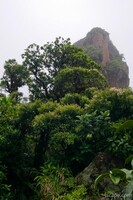 The top of Mt. Liamuiga