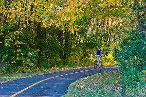 Busse Woods - Schaumburg, IL