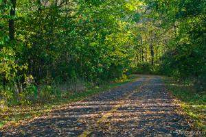 Busse Woods - Schaumburg, IL