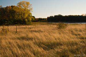 Busse Woods - Schaumburg, IL
