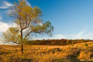 Galena's fall colors