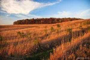 Galena's fall colors