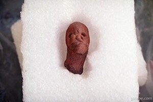 Taino Indian artifact called a 'zemi'
