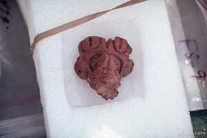 Taino Indian artifact called a 'zemi'