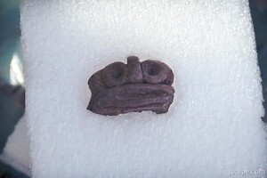 Taino Indian artifact called a 'zemi'