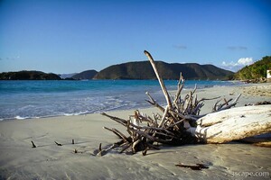 Cinnamon Bay Beach