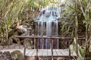 Waterfall (Chankanaab Nature Park)