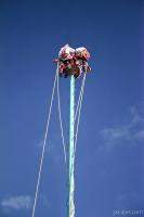 Previous: Performers on a pole