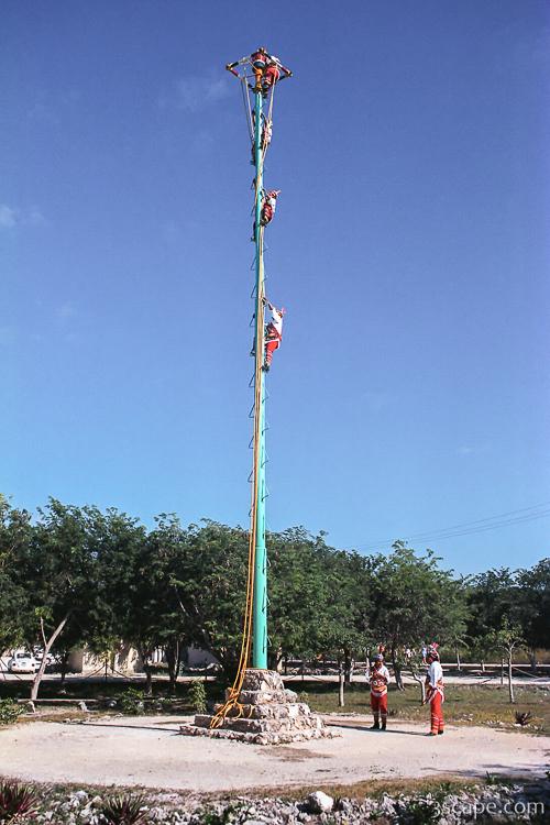 Performers high in the air  pole dancers?