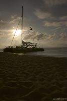 The Reef Explorer catamaran