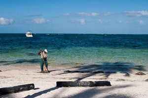 Every day, sea weed was cleaned up