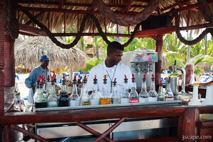 The bartenders were always busy