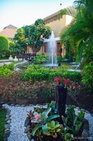 Landscaping at the Allegro