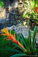 More interesting landscaping