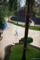 Singing in the rain