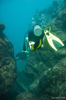Patti swimming through a coral canyon