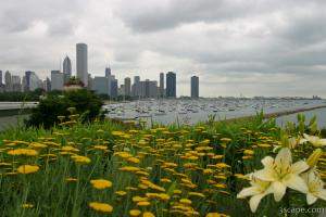 Chicago