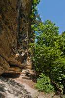 Trail (Starved Rock State Park)