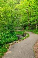 The paved trail to Munising Falls