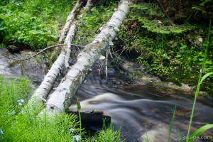Stream from Munising Falls