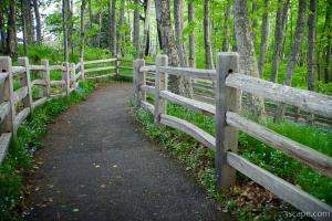Trail to Chapel Rock