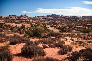 Petrified Dunes area