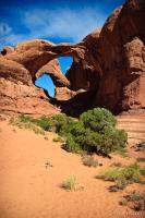 Double Arch