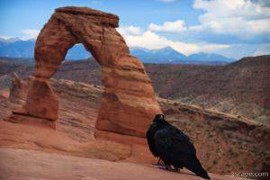 Delicate Arch