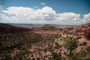 Sand Flats Road