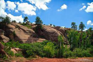 Elephant looking rocks