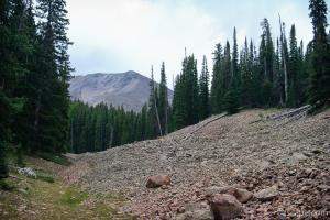 Loose rock