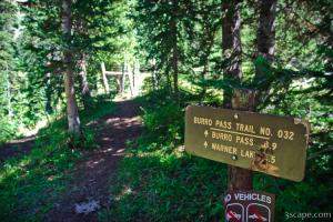 Burro Pass trailhead