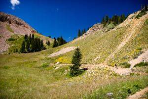 Burro Pass Trail
