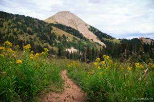 Burro Pass Trail