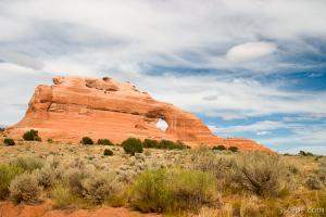 Looking Glass Arch