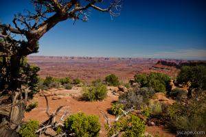 Overlooking the Canyonlands Needles Area