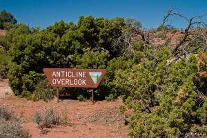 Anticline Overlook