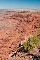 Hurrah Pass and Chicken Corners Trail from above