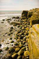 Rocky Pacific shorline