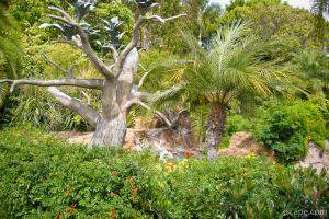 Very green landscaping
