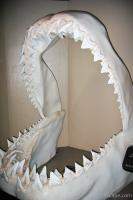 These shark jaws were five feet tall!