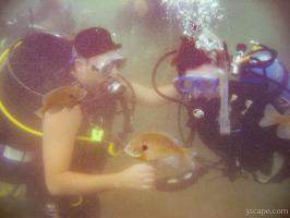 Rudy helping stabilize a student under water