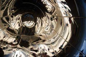 Under side of the Bean