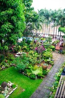The gardens at River View Lodge