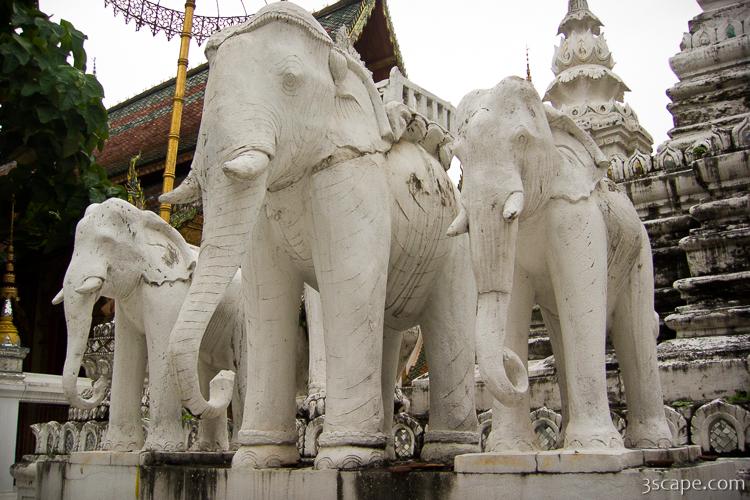 Elephants at Wat Saen Fang