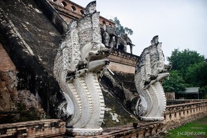 Previous: Naga staircase at Wat Chedi Luang