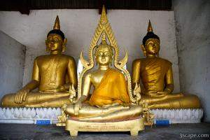 Buddhas near Wat Chedi Luang