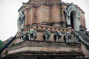 Elephants on Wat Chedi Luang