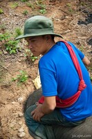 Our elephant driver