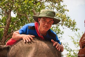 Our elephant guide